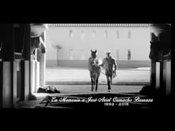 Portada de la cancion Te metiste del artista Ariel Camacho